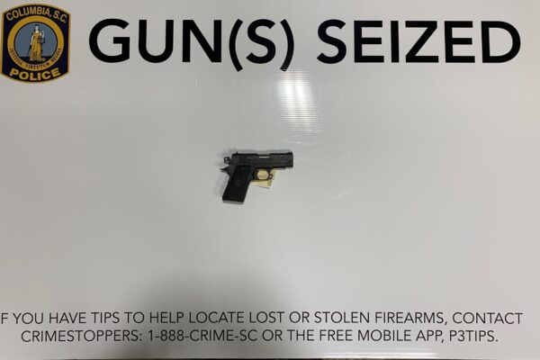 Guns2-2-23