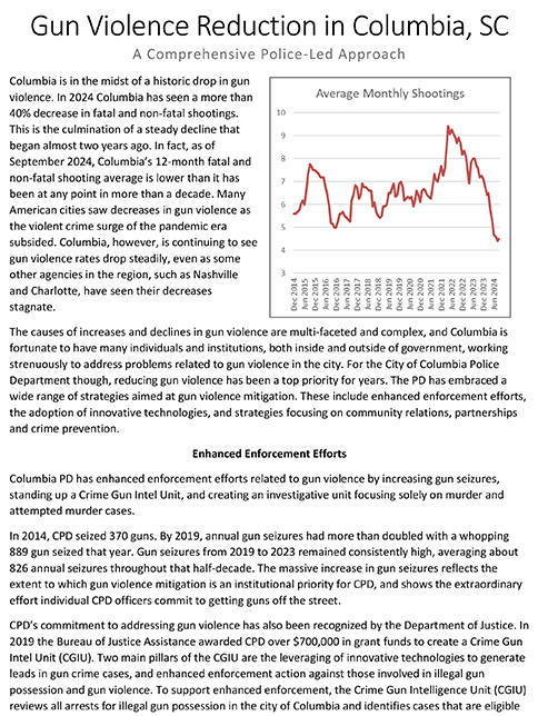 Gun Violence PDF Image
